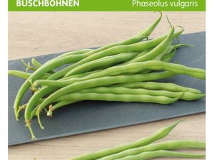 Foto von Stamslabonen Haricot Vert Argus