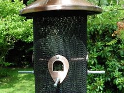 Foto van Vogel voedersilo 