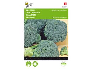 Foto van Broccoli Calabrese natalino, groen