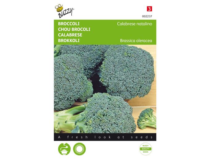 Afbeelding van Broccoli Calabrese natalino, groen