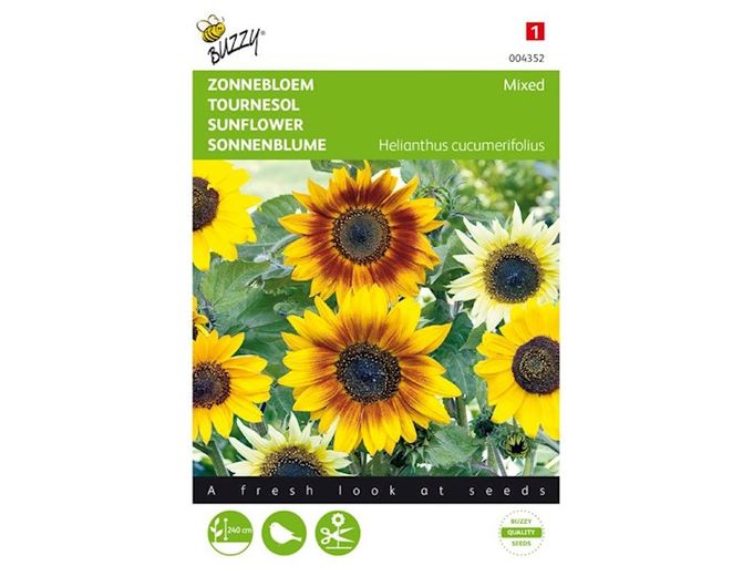 Afbeelding van Buzzy® Helianthus, Zonnebloem gemengd