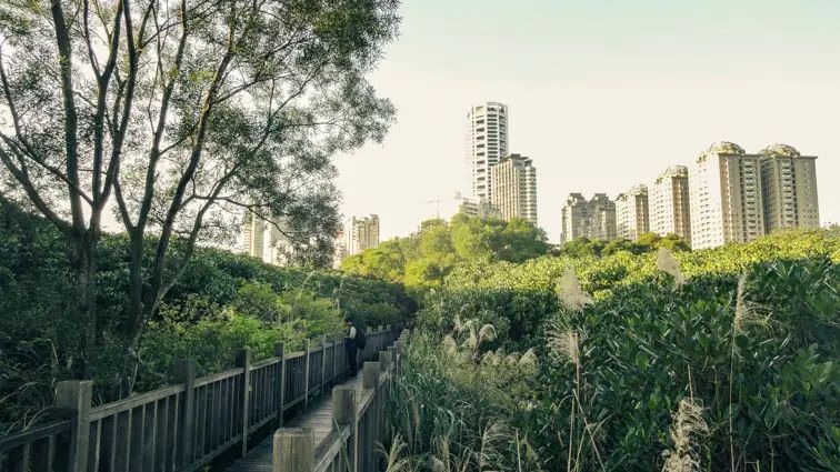Backpacken in Taiwan: Alles wat je moet weten