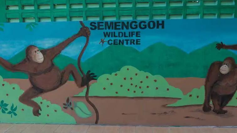 Seminggoh Wildlife Centre