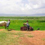 Wat te doen in Hawassa, Ethiopië