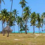 Zanzibar bezienswaardigheden en praktische informatie