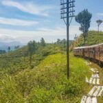 Route Sri Lanka: De ultieme route(s) voor 3-4 weken