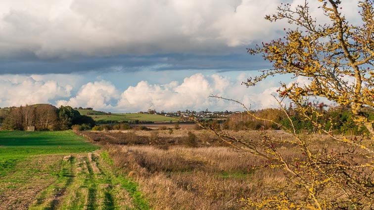 Natuur Midden-Jutland