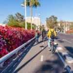 Fietsen in Valencia: Ontdek de stad op de fiets