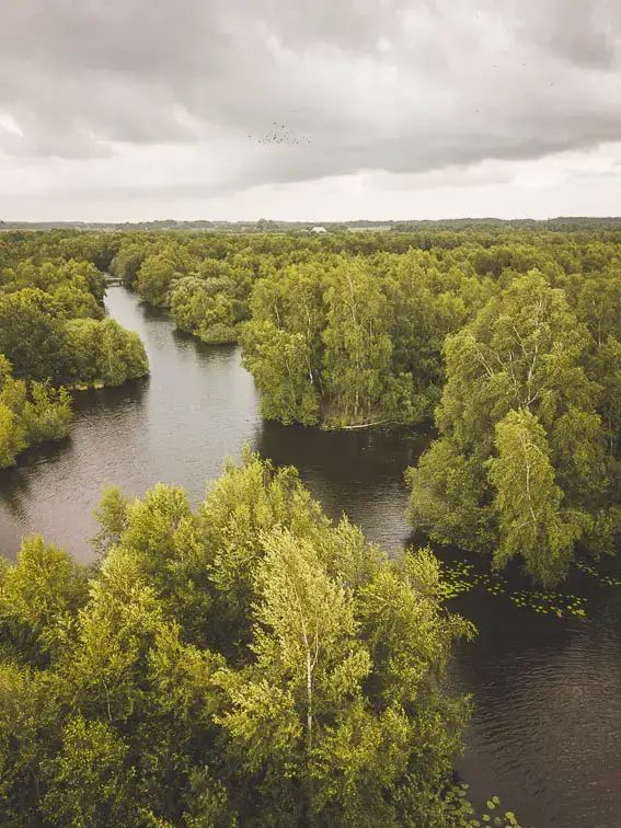 Natuurgebied de Deelen Friesland