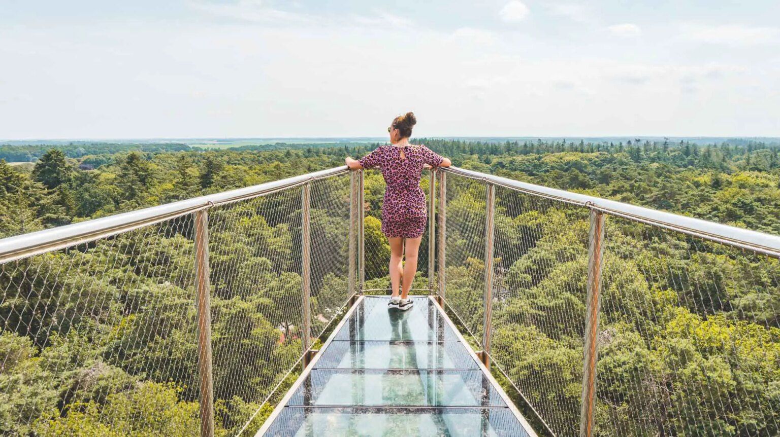 Wat te doen in Appelscha en omgeving: 8 tips | TRAVELAAR