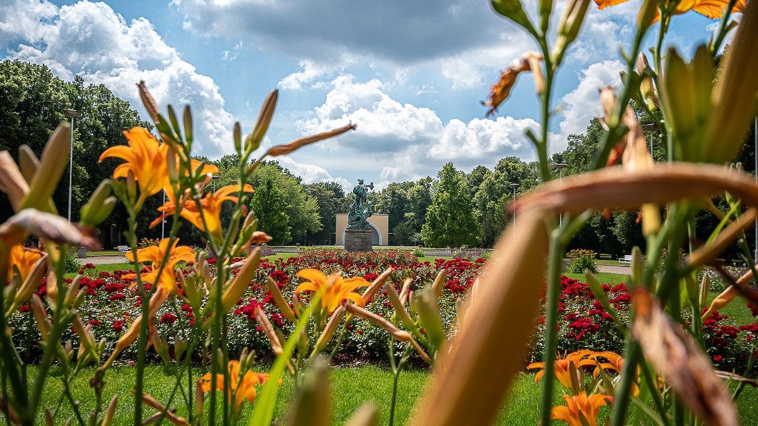 Ontdek de bloedmooie natuur in en rondom Poznań in Polen