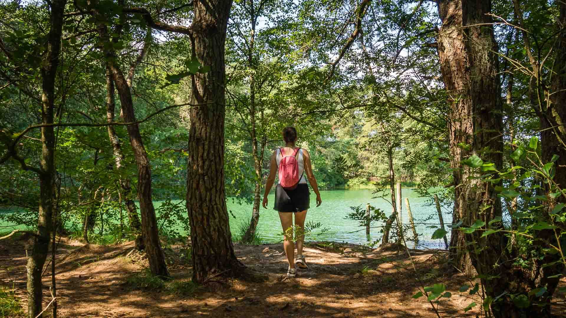 Zo mooi is een wandeling rondom het Blauwe Meer in Drenthe