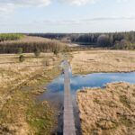 De Veenpluisroute wandelen door natuurgebied Grolloërveen in Drenthe