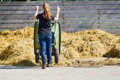 Placeholder mest kruiwagen uitmesten mestbult Horzeplaza