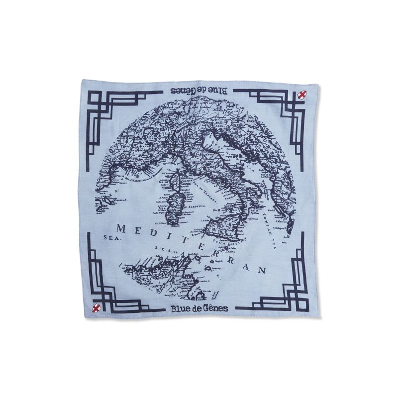 Blue de Genes Grafico Scarf Blue Blue de Genes Grafico Scarf Blue