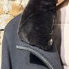 Afbeelding van PROJECT 116 Pure Cashmere Bomber Jacket Black