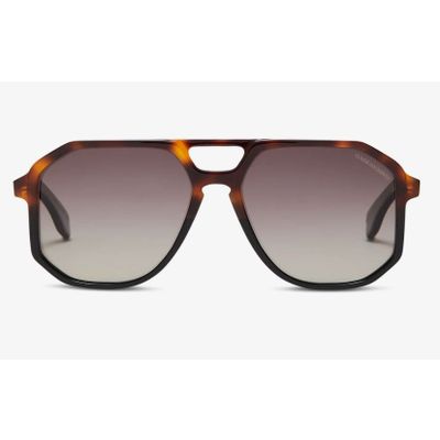 Foto van Oliver Goldsmith Spillane Tortoise 