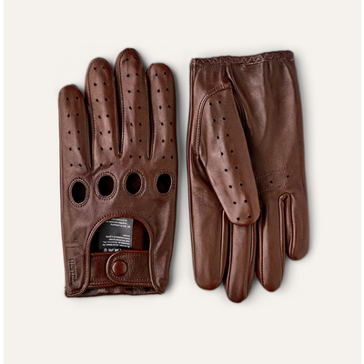 Foto van Hestra Morgan Chesnut