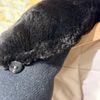 Afbeelding van PROJECT 116 Pure Cashmere Bomber Jacket Black