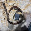 Afbeelding van Blue De Genes BGathol Belt Dark Brown