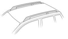 Dakdragers 2 daktype railing